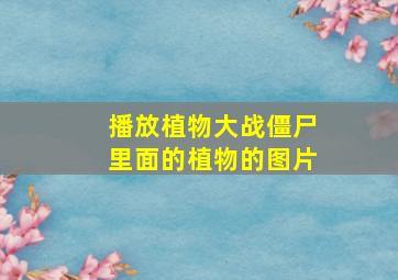 播放植物大战僵尸里面的植物的图片