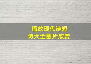 播放现代诗短诗大全图片欣赏