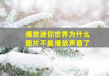 播放迷你世界为什么图片不能播放声音了