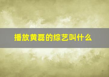 播放黄磊的综艺叫什么