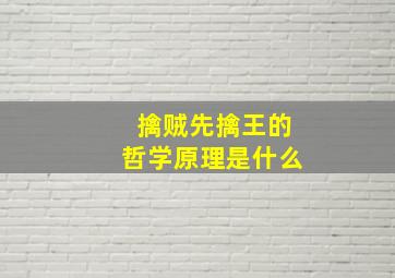 擒贼先擒王的哲学原理是什么