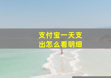 支付宝一天支出怎么看明细