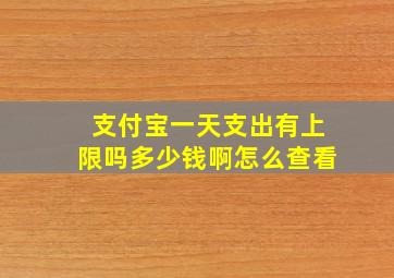 支付宝一天支出有上限吗多少钱啊怎么查看