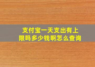 支付宝一天支出有上限吗多少钱啊怎么查询