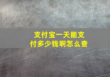 支付宝一天能支付多少钱啊怎么查