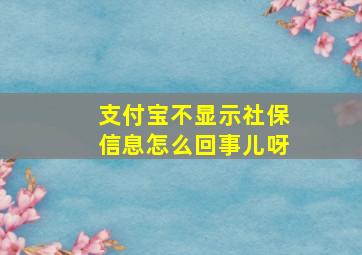 支付宝不显示社保信息怎么回事儿呀