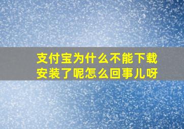 支付宝为什么不能下载安装了呢怎么回事儿呀