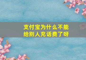 支付宝为什么不能给别人充话费了呀