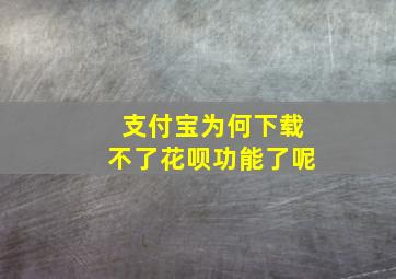 支付宝为何下载不了花呗功能了呢