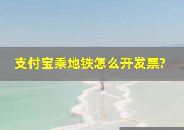 支付宝乘地铁怎么开发票?