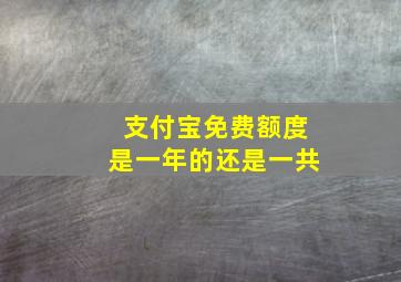 支付宝免费额度是一年的还是一共