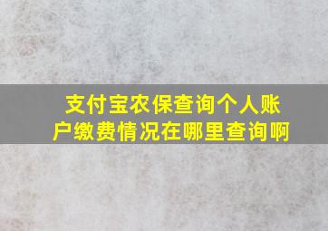 支付宝农保查询个人账户缴费情况在哪里查询啊