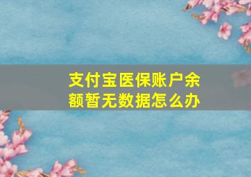 支付宝医保账户余额暂无数据怎么办