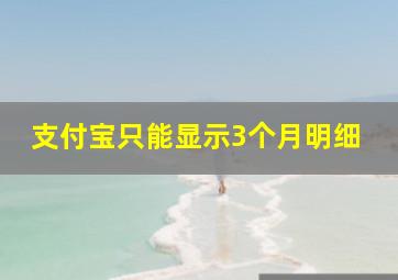 支付宝只能显示3个月明细