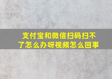 支付宝和微信扫码扫不了怎么办呀视频怎么回事