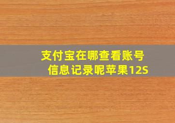 支付宝在哪查看账号信息记录呢苹果12S