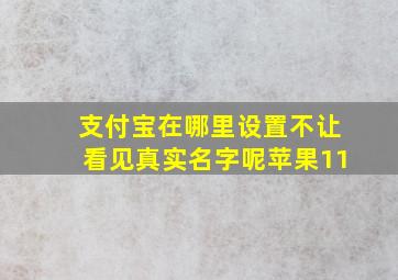 支付宝在哪里设置不让看见真实名字呢苹果11