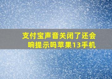 支付宝声音关闭了还会响提示吗苹果13手机