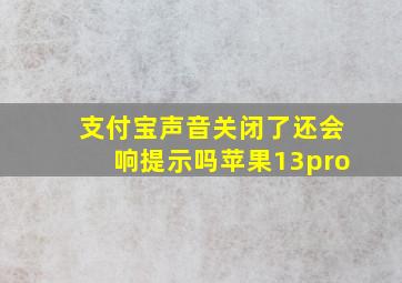 支付宝声音关闭了还会响提示吗苹果13pro