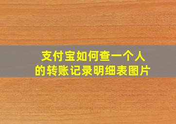 支付宝如何查一个人的转账记录明细表图片