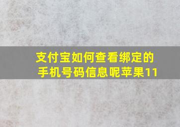 支付宝如何查看绑定的手机号码信息呢苹果11