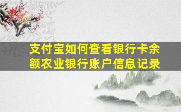 支付宝如何查看银行卡余额农业银行账户信息记录