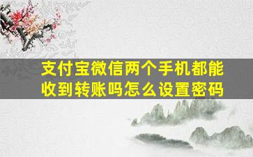 支付宝微信两个手机都能收到转账吗怎么设置密码