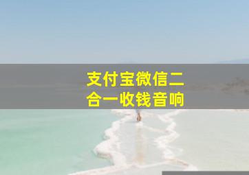 支付宝微信二合一收钱音响