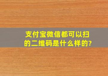 支付宝微信都可以扫的二维码是什么样的?