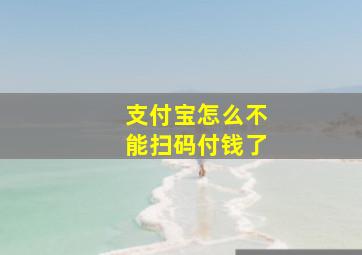 支付宝怎么不能扫码付钱了