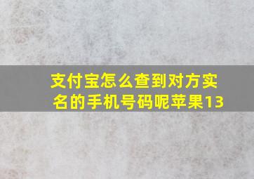 支付宝怎么查到对方实名的手机号码呢苹果13