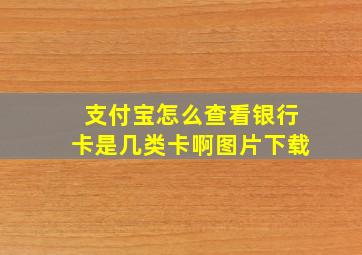 支付宝怎么查看银行卡是几类卡啊图片下载