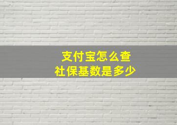 支付宝怎么查社保基数是多少