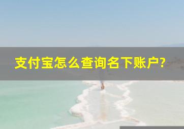 支付宝怎么查询名下账户?