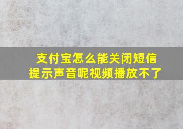 支付宝怎么能关闭短信提示声音呢视频播放不了