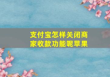 支付宝怎样关闭商家收款功能呢苹果