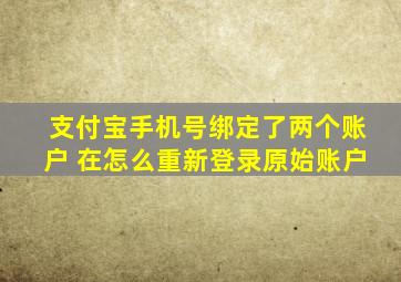 支付宝手机号绑定了两个账户 在怎么重新登录原始账户