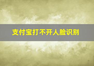 支付宝打不开人脸识别