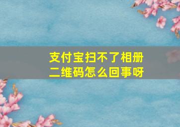 支付宝扫不了相册二维码怎么回事呀