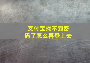 支付宝找不到密码了怎么再登上去