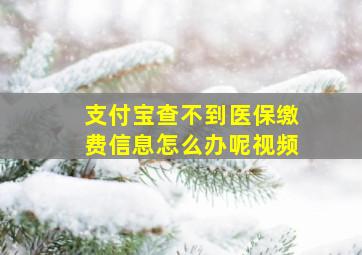 支付宝查不到医保缴费信息怎么办呢视频