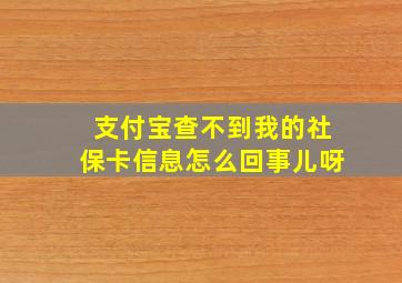 支付宝查不到我的社保卡信息怎么回事儿呀