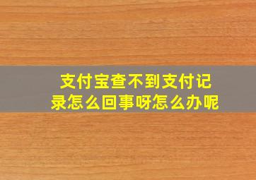 支付宝查不到支付记录怎么回事呀怎么办呢