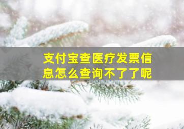 支付宝查医疗发票信息怎么查询不了了呢