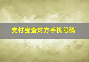 支付宝查对方手机号码