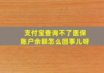 支付宝查询不了医保账户余额怎么回事儿呀