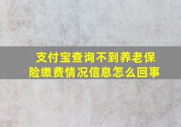 支付宝查询不到养老保险缴费情况信息怎么回事