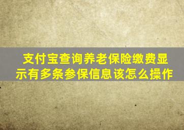 支付宝查询养老保险缴费显示有多条参保信息该怎么操作