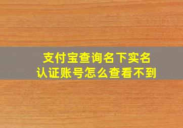 支付宝查询名下实名认证账号怎么查看不到