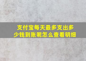 支付宝每天最多支出多少钱到账呢怎么查看明细